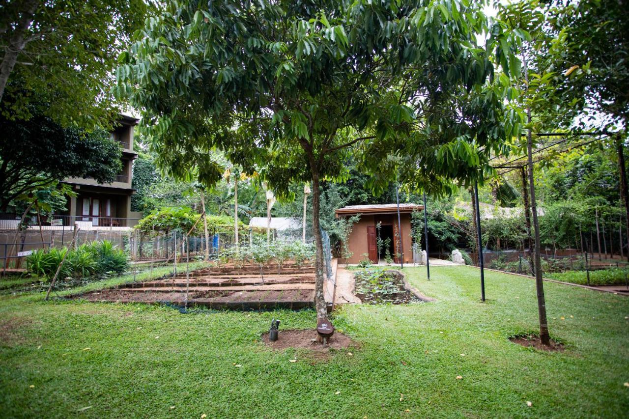Kalu'S Hideaway Udawalawe Hotel Екстериор снимка